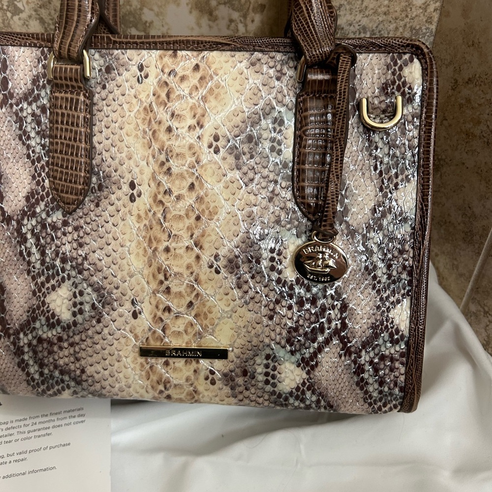 Brahmin Cami - Multi Eirwen Beige Python Satchel … - image 5